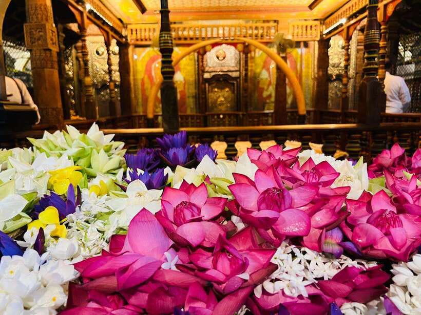 From Colombo: Kandy and Pinnawala Day Trip with tea factory - Gems, crafts, and the shopping stops