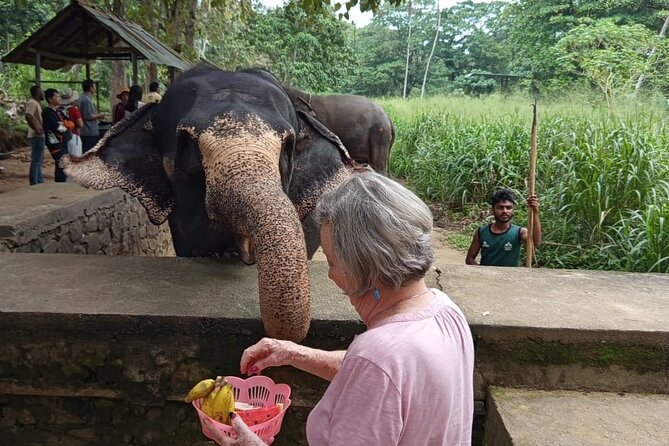 From Colombo: Kandy and Pinnawala Full-Day Trip - Bahiravokanda Buddha Statue and another city panorama