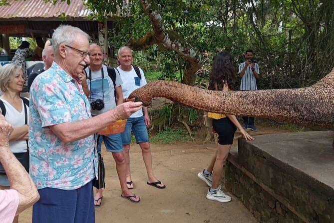 From Colombo: Kandy and Pinnawala Full-Day Trip - The Kandy Lake Club cultural show