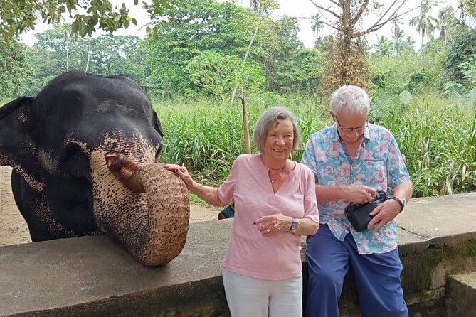 From Colombo: Kandy and Pinnawala Full-Day Trip - The Temple of the Sacred Tooth Relic in Kandy