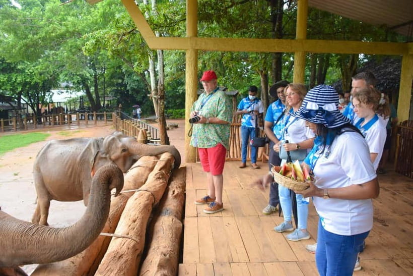 From Colombo: Kandy and Pinnawala Orphanage Short Excursions - Key points to know before booking