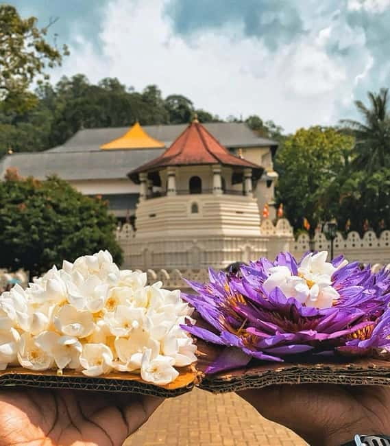 From Colombo: Kandy and Pinnawala Orphanage Short Excursions - What the Colombo to Kandy day really involves