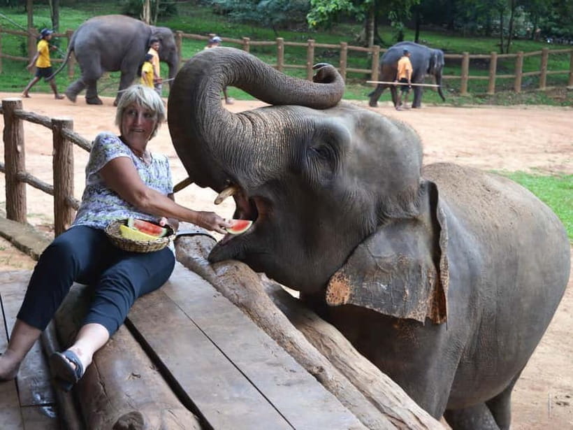 From Colombo: Kandy and Pinnawala Orphanage Short Excursions - What the $75 price includes and excludes