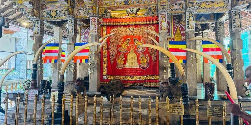 From Colombo: Kandy Full-Day Trip - Key points to know before booking