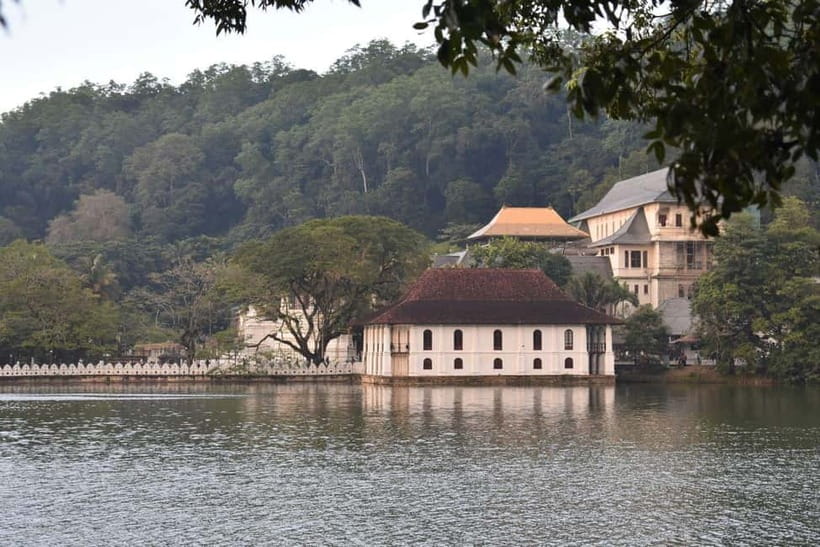 From Colombo: Kandy, Pinnawala and Tea Factory Full-Day Trip - The return to Colombo is part of the tour