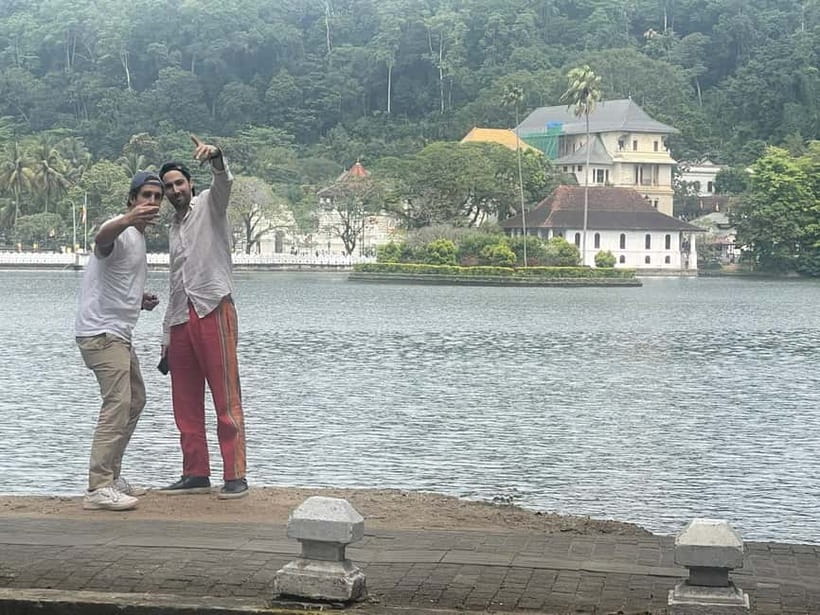 From Colombo: Kandy, Pinnawala and Tea Factory Full-Day Trip - What the $55 day really covers