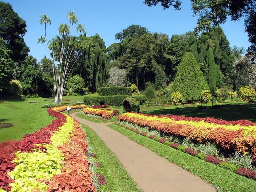 From Colombo: Kandy, Pinnawala and Tea Factory Full-Day Trip - Gems, tea, and Sri Lanka’s working culture