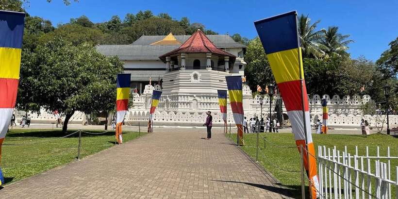 From Colombo: Kandy & Pinnawala & Tea Factory Full Day Trip - Key points at a glance