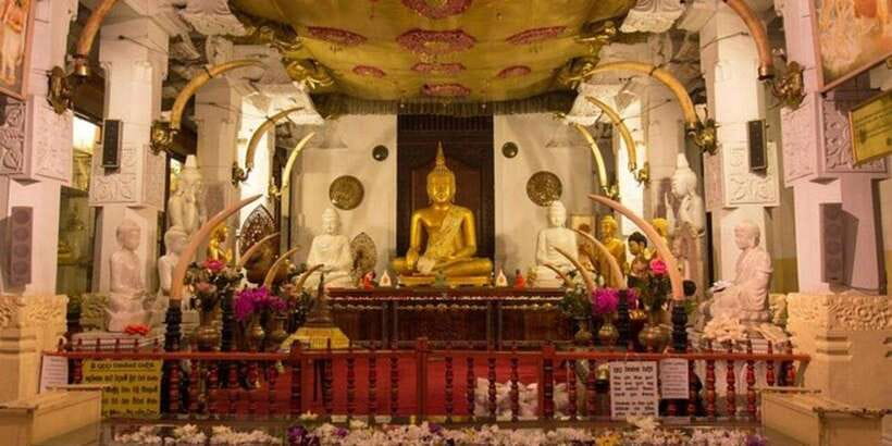 From Colombo: Kandy & Pinnawala & Tea Factory Full Day Trip - The Temple of the Sacred Tooth Relic