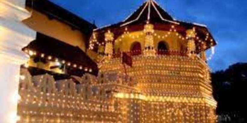 From Colombo: Kandy & Pinnawala & Tea Factory Full Day Trip - What the $45 price really buys