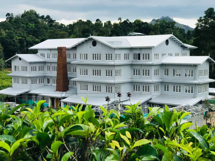From Colombo: Kandy Temple of Tooth & Elephant Orphanage - Who should book this day trip?