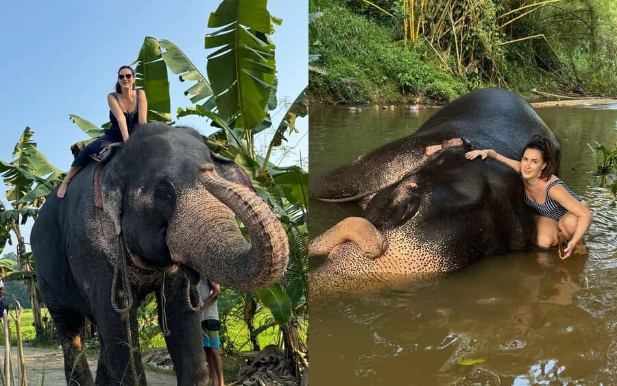 From Colombo: Kandy Temple of Tooth & Elephant Orphanage - Peradeniya Royal Botanical Gardens