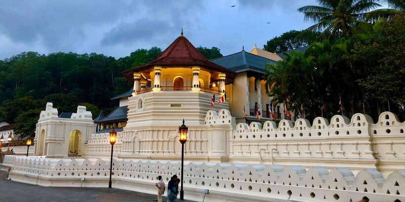 From Colombo: Kandy Temple of Tooth & Elephant Orphanage - Kandy Market, tea, and the evening show