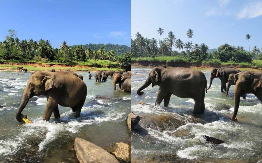 From Colombo: Kandy Temple of Tooth & Elephant Orphanage - Colombo pickup and the long road to Kandy