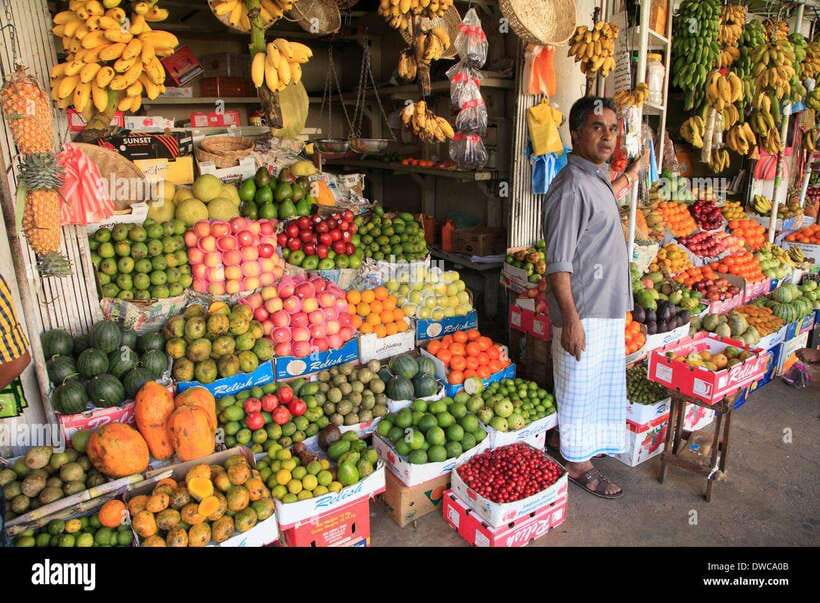 From Colombo: Kandy Temples and Pinnawala Full-Day Tour - Key points at a glance