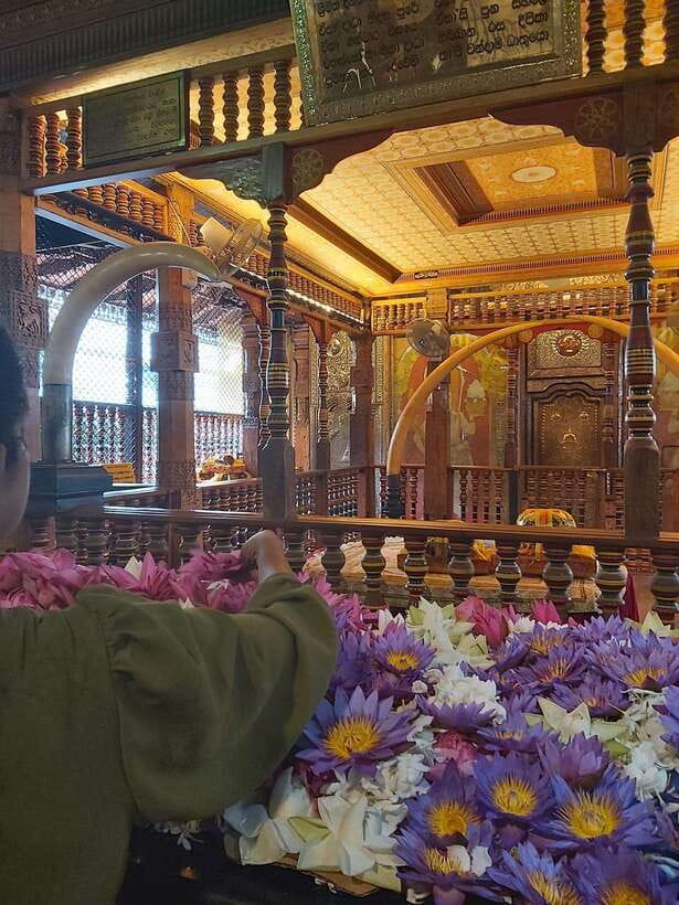 From Colombo: Kandy Temples and Pinnawala Full-Day Tour - Why this Kandy day trip works