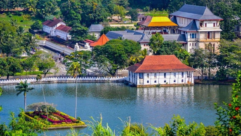From Colombo: Kandy Temples and Pinnawala Full-Day Tour - Pinnawala and the elephant experience