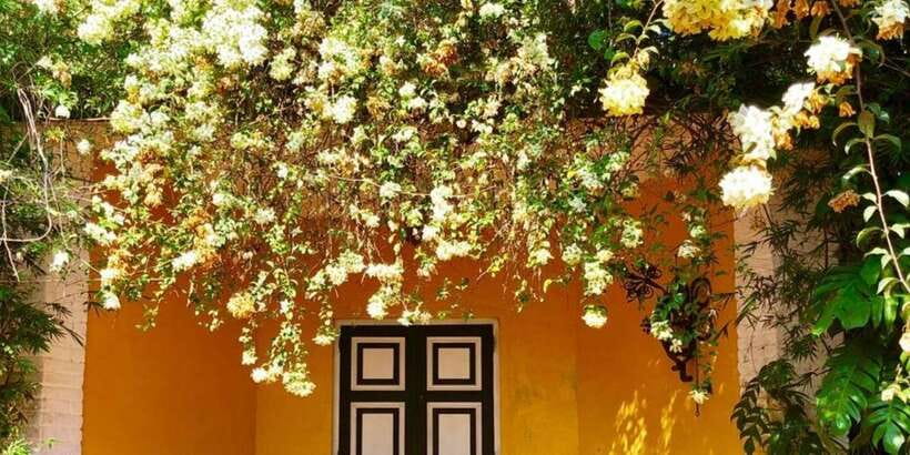From Colombo/ Negombo: Lunuganga & Brief Garden Odyssey - Why these two gardens belong together