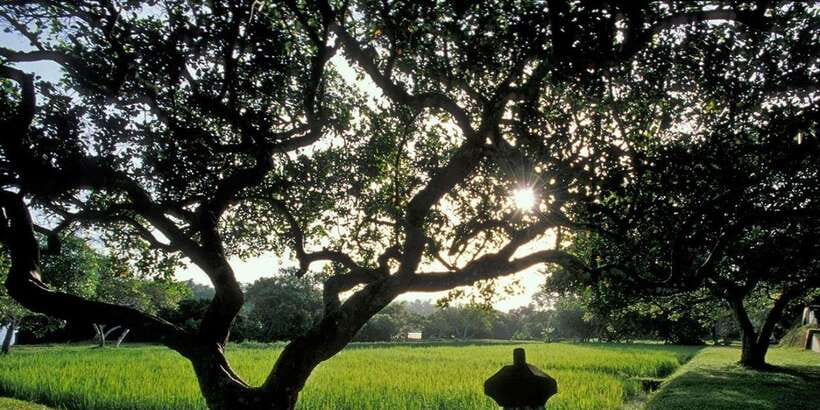 From Colombo/ Negombo: Lunuganga & Brief Garden Odyssey - Brief Garden at 12:30, Bevis Bawa’s private retreat