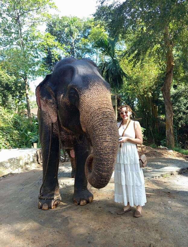 From Colombo or Negombo: Pinnawala, Kandy & Tea Factory Tour - What the $46 price really covers