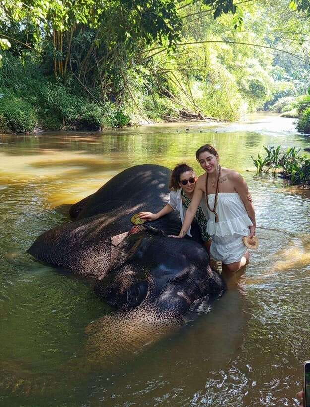From Colombo or Negombo: Pinnawala, Kandy & Tea Factory Tour - Tea country on the way back
