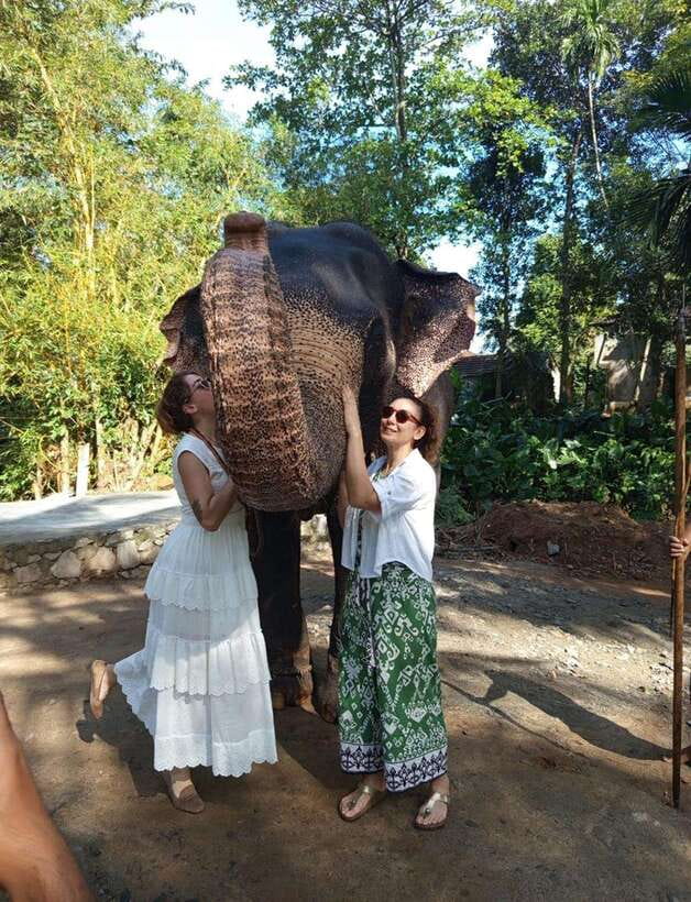 From Colombo or Negombo: Pinnawala, Kandy & Tea Factory Tour - From Colombo or Negombo to Pinnawala
