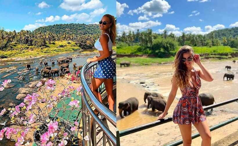 From Colombo: Pinnawala & Tea factory with Kandy Hotel Drop - Who should book this Colombo to Kandy experience?