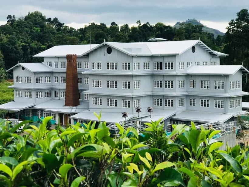 From Colombo: Pinnawala & Tea factory with Kandy Hotel Drop - Giragama Tea Factory and the Ceylon tea story