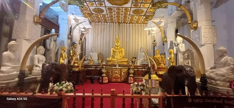 From Colombo: Pinnawala & Tea factory with Kandy Hotel Drop - What the $60 price really covers