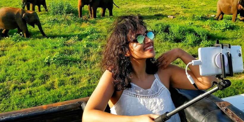 From Colombo: Private Minneriya National Park Day Safari - Key Points Before You Book