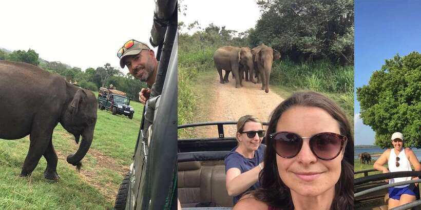 From Colombo: Sigiriya and Dambulla Day Trip with Safari - Who should book this Colombo day trip?