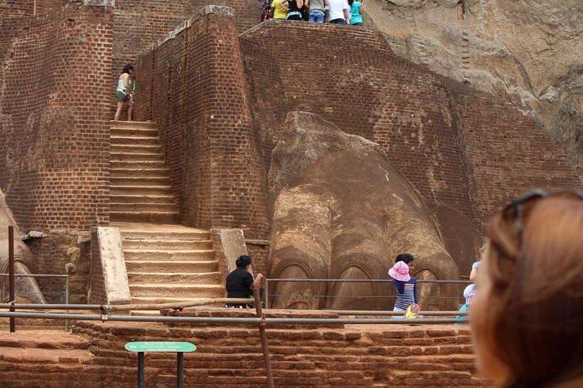 From Colombo: Sigiriya Rock Fortress and Dambulla Day Tour - Should you add a wildlife safari?