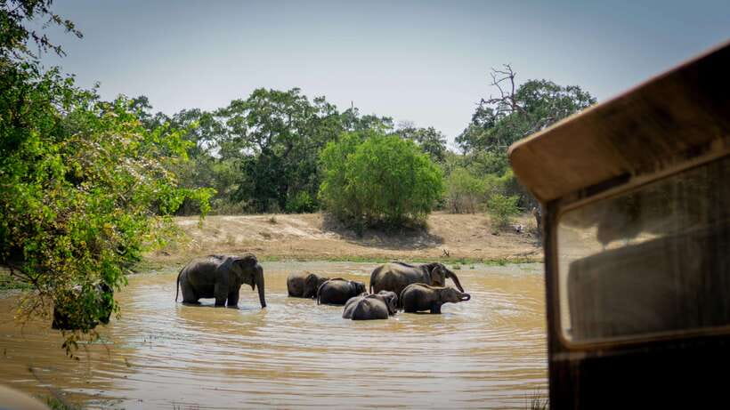 From Colombo: Sri Lanka Heritage 5-day Private Tour - What the $499 price really covers