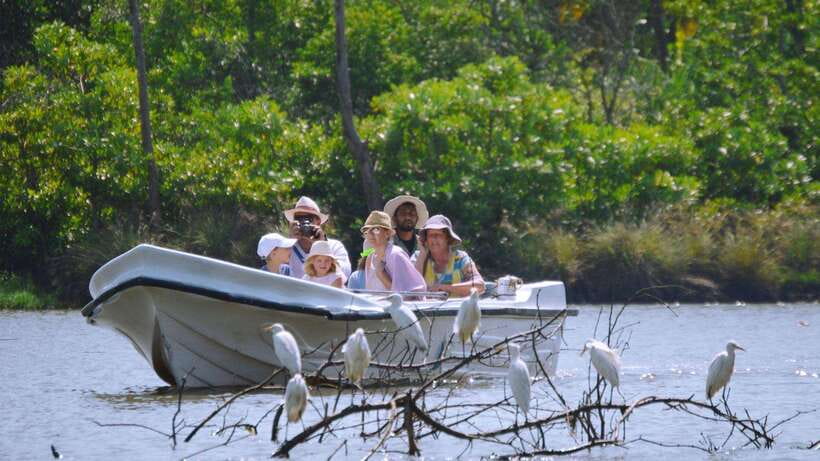 From Colombo to Galle Fort and Jungle Beach Day Trip - Why this Colombo to Galle day trip works