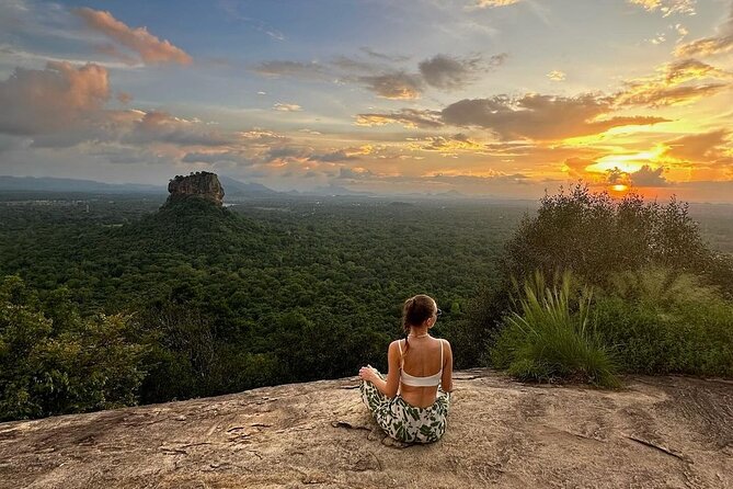 From Colombo to Sigiriya Fortress, Dambulla & Minneriya Safari - Is $75 good value?