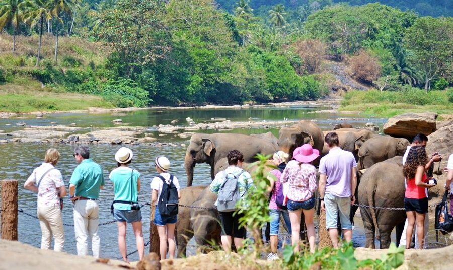 From Colombo to Yala 6-Day Private Trip with 21-Sites - Who should book this six-day route?