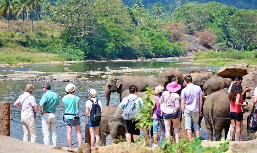 From Colombo to Yala 6-Day Private Trip with 21-Sites - Day 6: Galle Fort and the Madu River estuary
