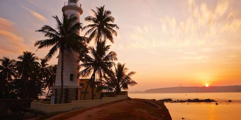 From Colombo: Virgin White Tea and Galle City Tour - Handunugoda and the unusual white tea ritual