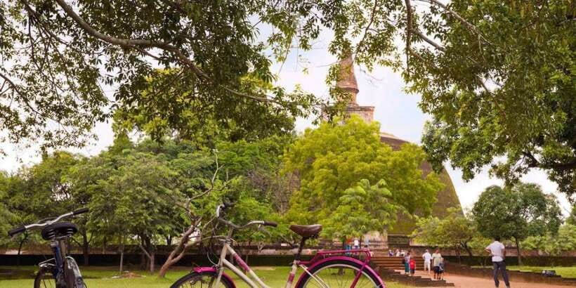 From Dambulla/ Sigiriya: Ancient City of Polonnaruwa by Bike - Why Polonnaruwa works so well by bike
