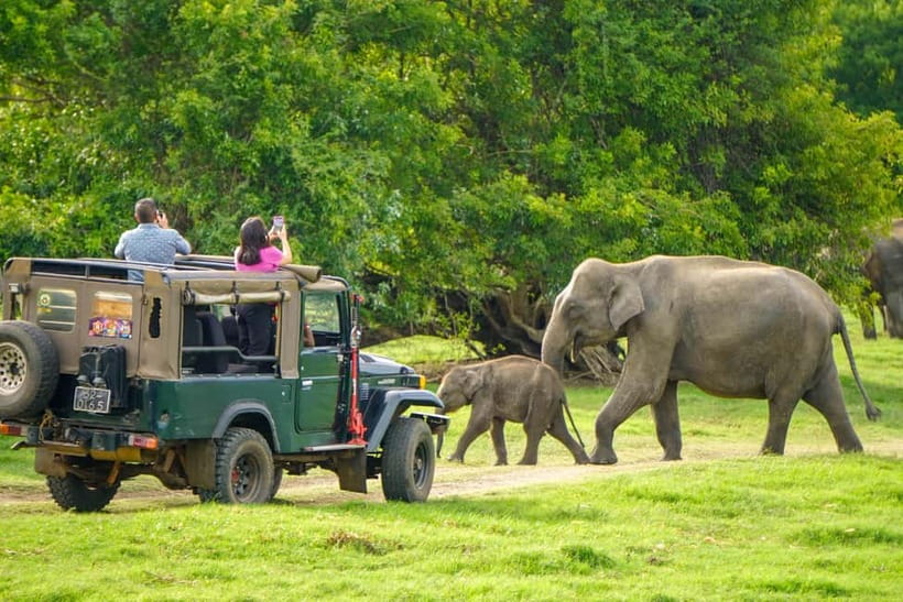 From Dambulla, Sigiriya: Polonnaruwa Tuk Tuk Day Tour - What the Driver Can and Cannot Provide