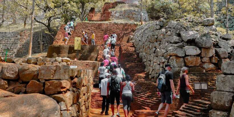 From Dambulla: Sigiriya Rock, Village, and Minneriya Tour - What the Minneriya safari can add