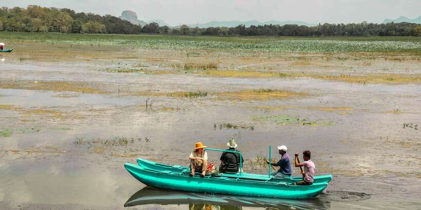 From Dambulla: Sigiriya Rock, Village, and Minneriya Tour - What is included and what will cost extra