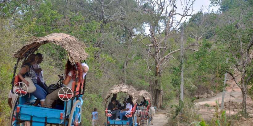From Dambulla: Sigiriya Rock, Village, and Minneriya Tour - Who will enjoy this experience most