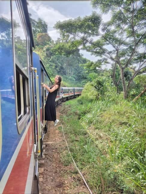 From Ella: Ella Unfogettable Day tour & Train Ride Tour - Pallewela Waterfall, the day’s refreshing finish