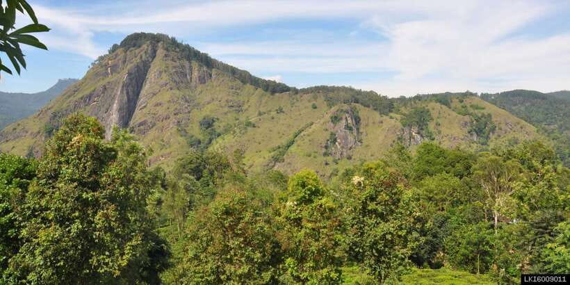 From Ella: Little Adam’s Peak and Nine Arches Bridge Hiking - What the five-hour Ella route actually covers