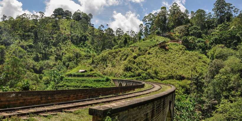 From Ella: Little Adam’s Peak and Nine Arches Bridge Hiking - Demodara Railway Station and its remarkable loop