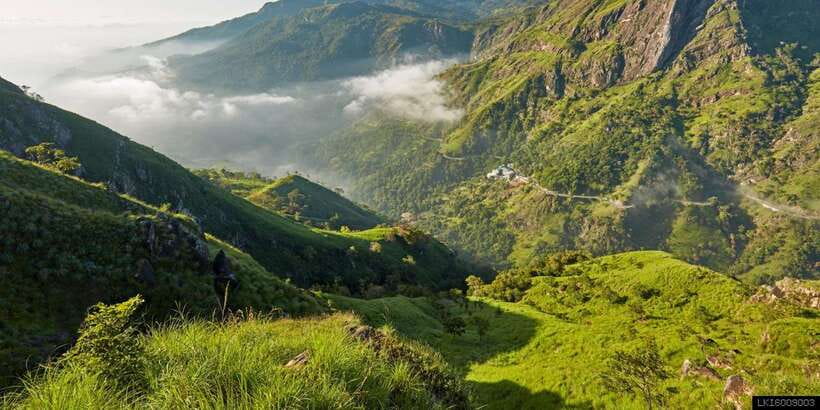 From Ella: Little Adam’s Peak and Nine Arches Bridge Hiking - The guide can make the difference