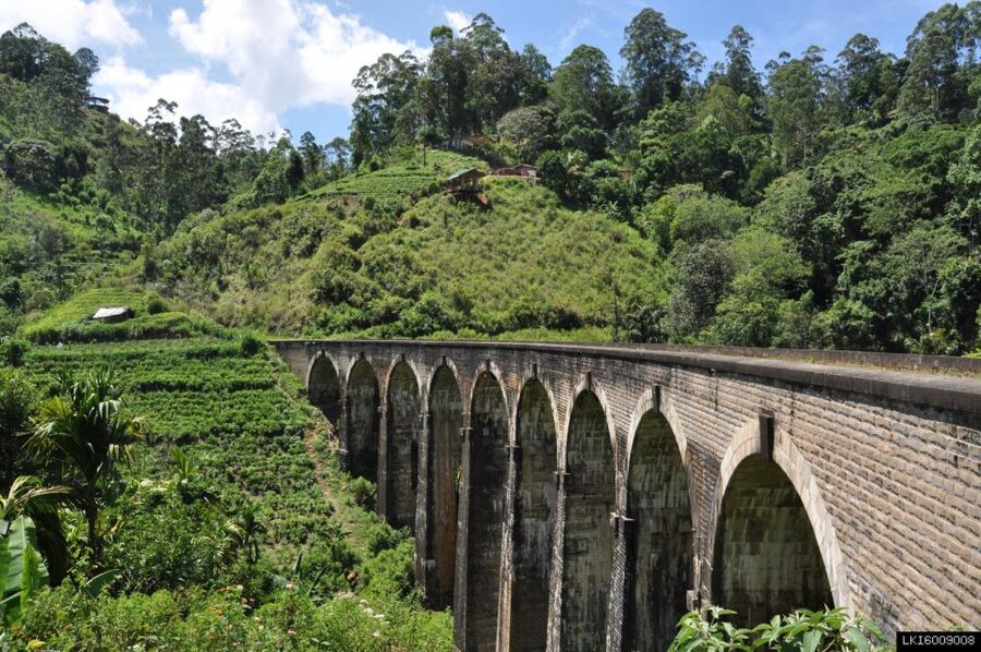 From Ella: Little Adam’s Peak and Nine Arches Bridge Hiking - Is $86 a fair price?