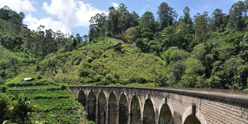 From Ella: Little Adam’s Peak and Nine Arches Bridge Hiking - Who should book this hiking experience?