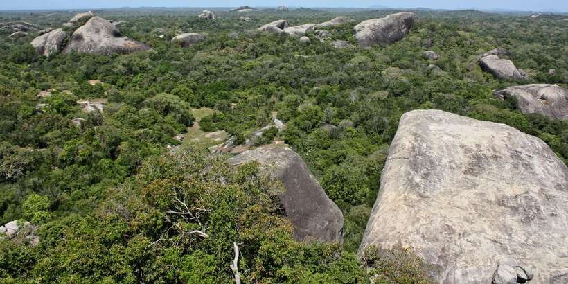 From Ella:Ravana Falls / Diyaluma Falls / Yala National Park - What this 14-hour route is really like